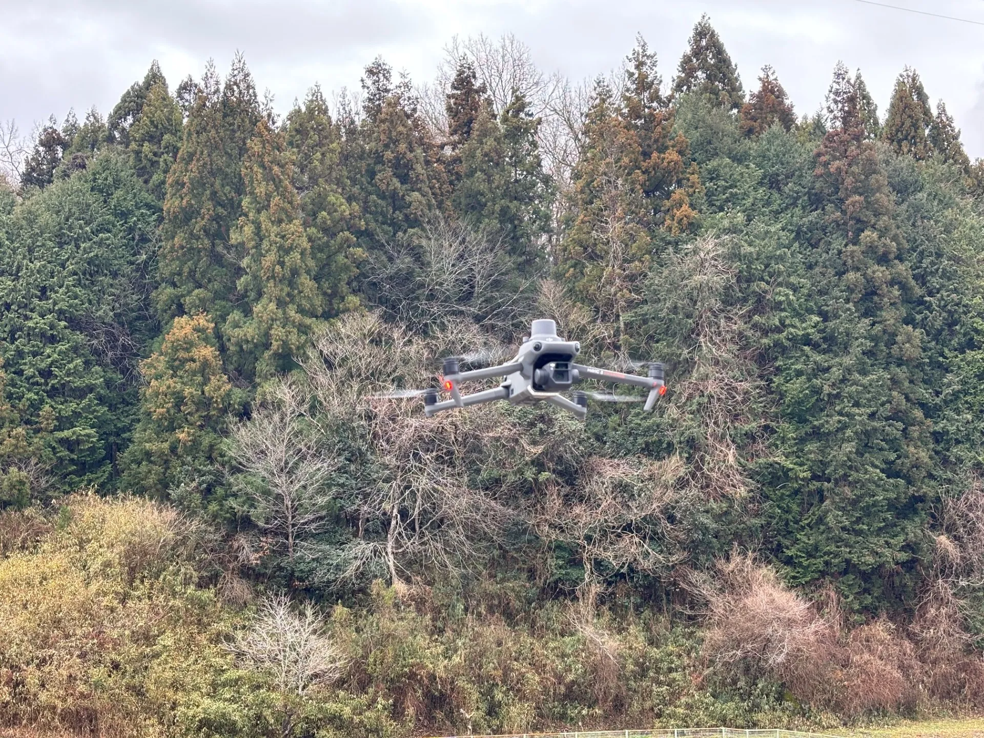 エスト株式会社